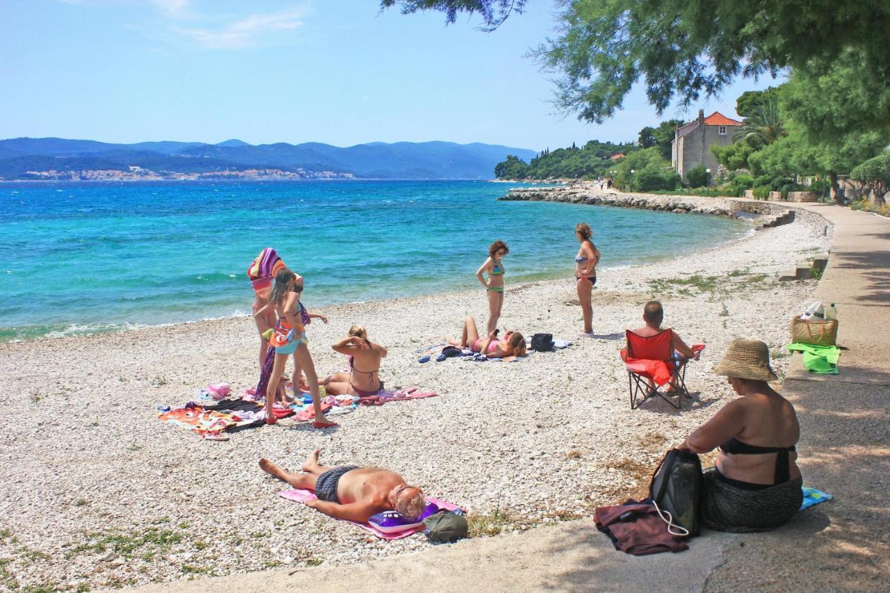 Apartments With A Parking Space Orebic, Peljesac - 10173 Eksteriør billede